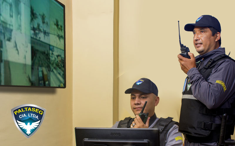 Consultoría y Servicios de Seguridad Integral